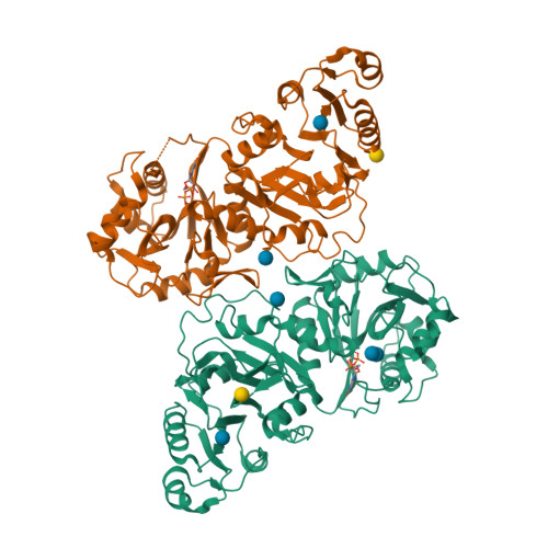 RCSB PDB - 9E92: Acanthamoeba Polyphaga Mimivirus R699