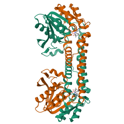 RCSB PDB - 9EBF: FphE, Staphylococcus aureus fluorophosphonate-binding ...