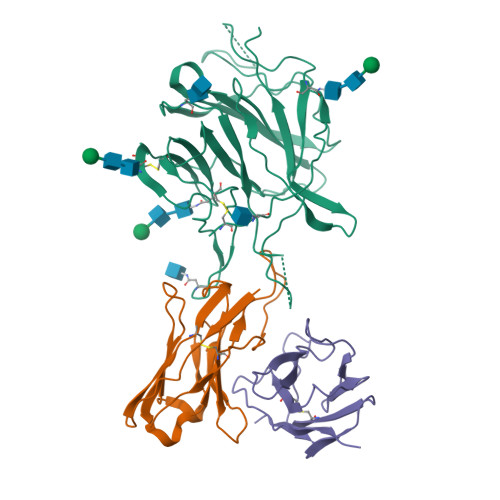 RCSB PDB - 9ECZ: Cryo-EM structure of SARS-CoV-2 spike protein in ...