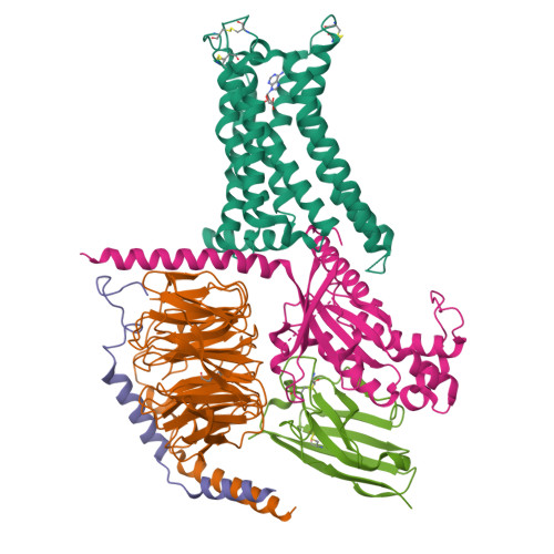 RCSB PDB - 9EE8: Cryo-EM structure of the adenosine A2A receptor ...