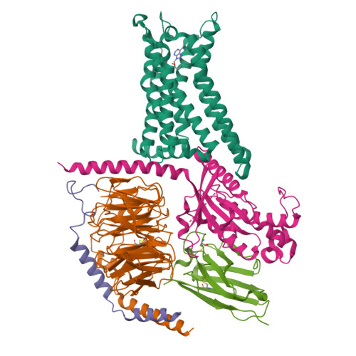 RCSB PDB - 9EE9: Cryo-EM structure of the adenosine A2A receptor ...
