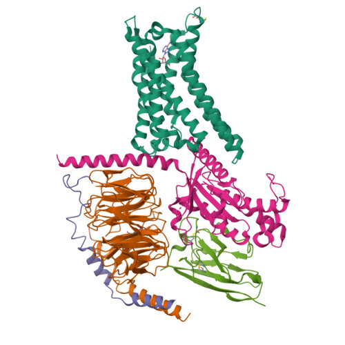 RCSB PDB - 9EEA: Cryo-EM structure of the adenosine A2A receptor ...