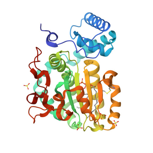 structural comparison of catalase a from saccharomyces... RCSB PDB - 9EFN: Crystal structure of Saccharomyces cerevisiae cross ...