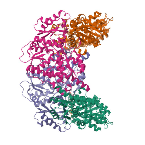 RCSB PDB - 9EFU: CryoEM structure of BchN-BchB electron acceptor ...