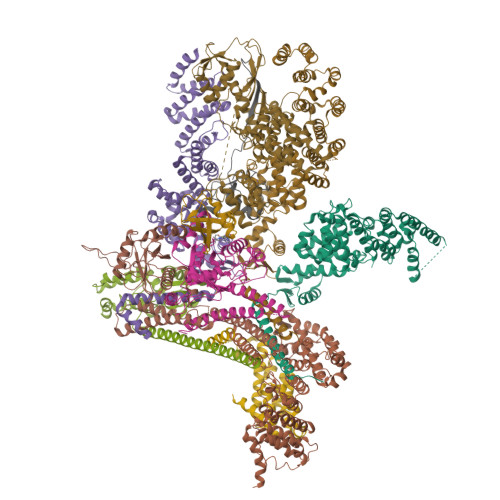 RCSB PDB - 9EFV: Cryo-EM structure of CSN-N8CUL1 in complex with