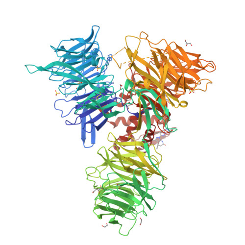 RCSB PDB - 9EJQ: Crystal structure of DDB1 in complex with XS381952