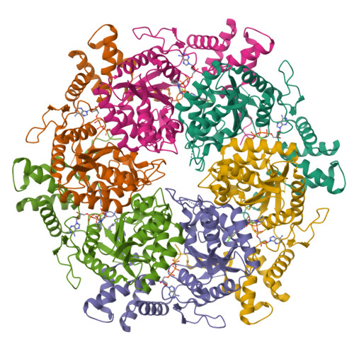 RCSB PDB - 9EMA: RUVBL1/2 in complex with ATP and CB-6644 inhibitor