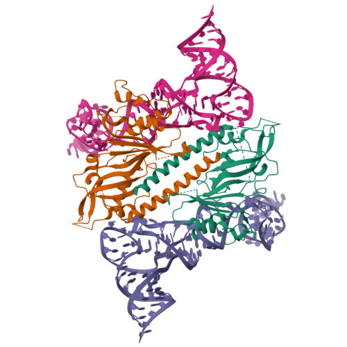 Pus3 Mutation RCSB PDB - 9ENF: Human pseudouridine synthase 3 (PUS3 D118A mutant) and ...