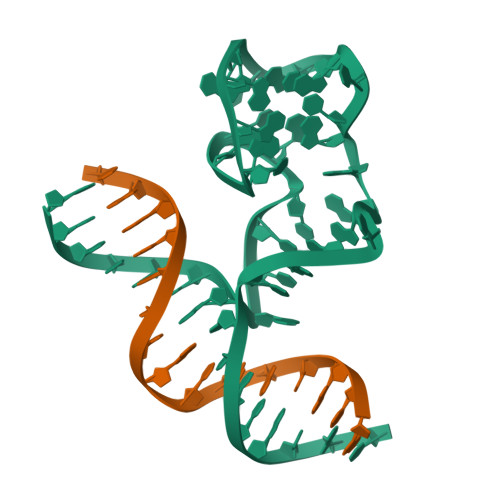 RCSB PDB - 9EOQ: Cryo-EM Structure of a 1033 Scaffold Base DNA Origami ...