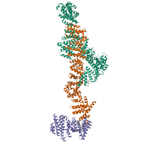 RCSB PDB - 9EP4: Structure of Integrator subcomplex INTS5/8/15