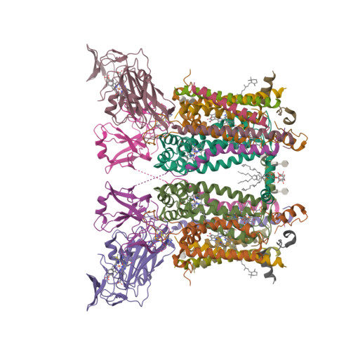 RCSB PDB - 9ES7: Cryo-EM structure of Spinacia oleracea cytochrome