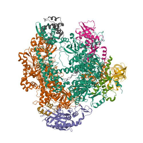 RCSB PDB - 9EX9: Cryo EM map and model of the vaccinia minimal RNA ...