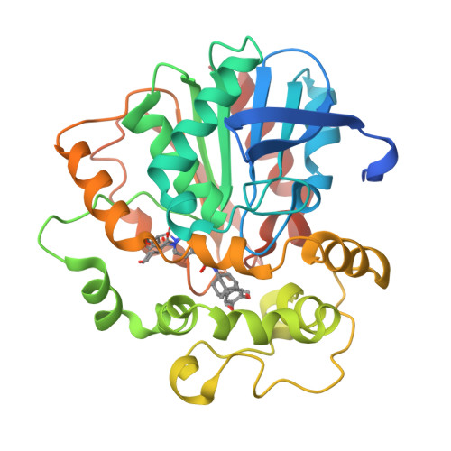 Terminal Epoxide RCSB PDB - 9F1A: Crystal structure of human soluble epoxide hydrolase C ...