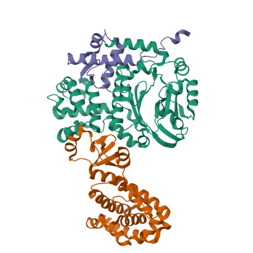 Rcsb Pdb F Crystal Structure Of The Pris Pril Rpa Wh Ternary