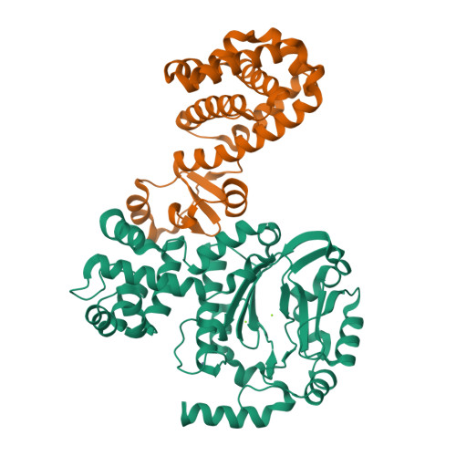 RCSB PDB - 9F28: Crystal structure of the heterodimeric primase from ...