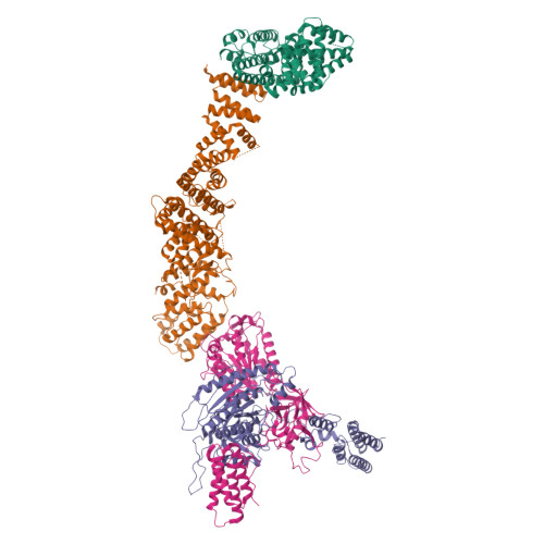 RCSB PDB - 9FA4: Structure of the Integrator arm module containing ...