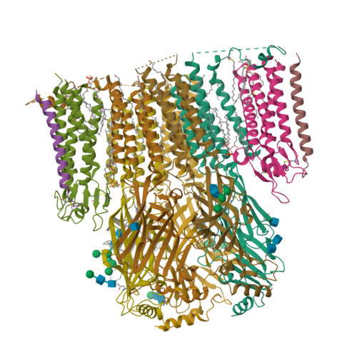 thimasam beta ghk-cu Peptide Therapy In Vitro and in Vivo