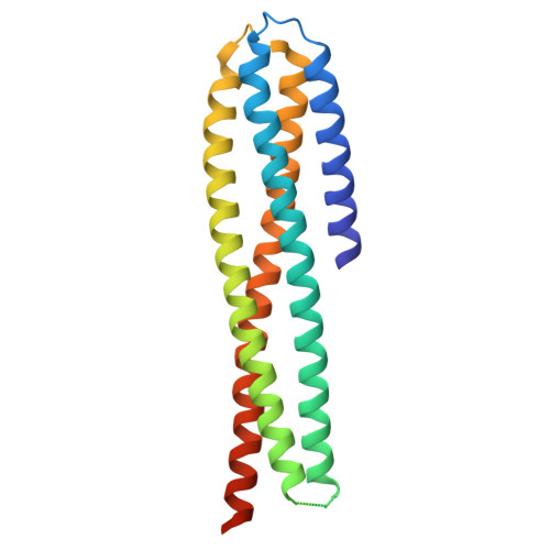 RCSB PDB - 9FED: Single-chain chimeric protein mimicking the ...