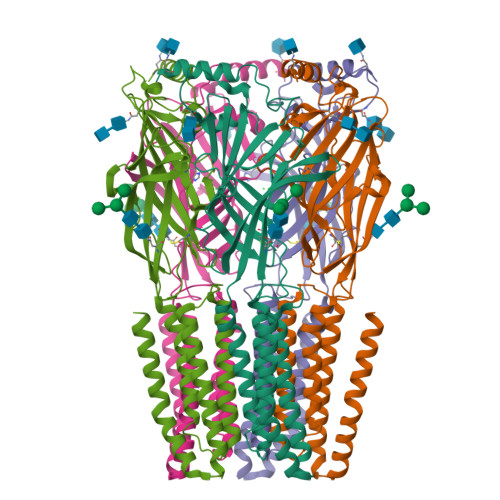 RCSB PDB - 9FEX: Cryo-EM structure of the beta3 homomeric GABA(A ...