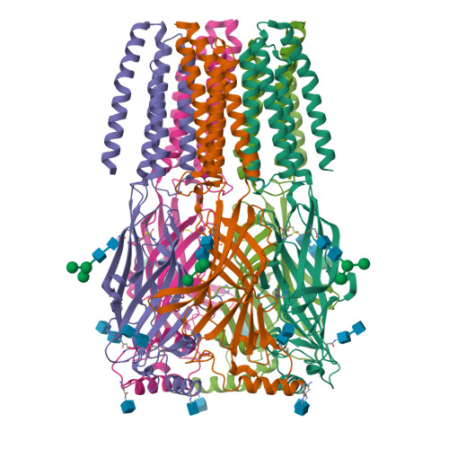 RCSB PDB - 9FEZ: Cryo-EM structure of the beta3 homomeric GABA(A ...