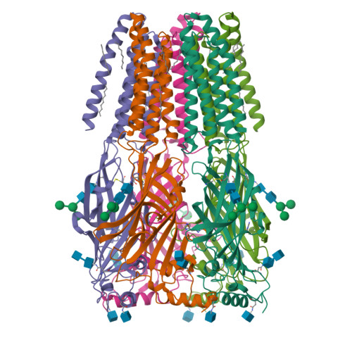 RCSB PDB - 9FF2: Cryo-EM structure of the beta3 homomeric GABA(A ...