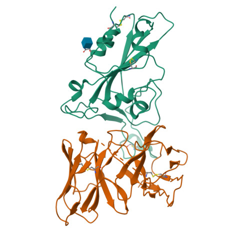 RCSB PDB - 9FGU: SARS-CoV-2 (B.1.1.529/Omicron variant) Spike protein ...