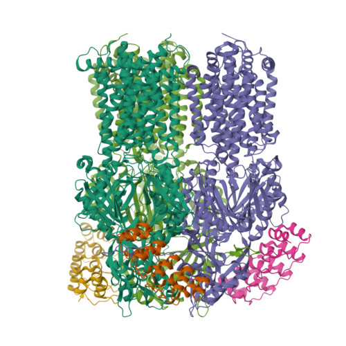 RCSB PDB - 9FHJ: Crystallographic structure of AcrB V612N in TTT state