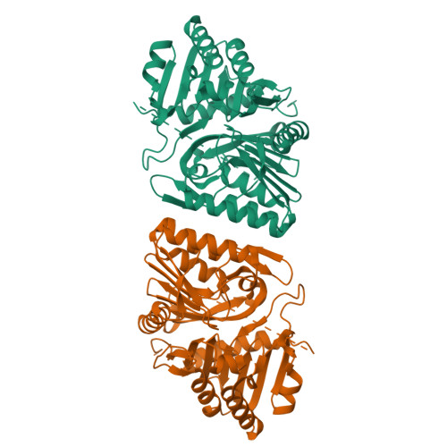 RCSB PDB - 9FHK: Structure of the F13 protein of Vaccinia virus (P21 ...