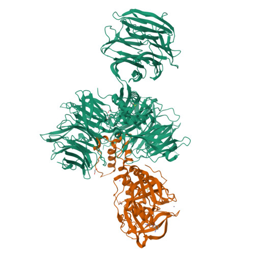RCSB PDB - 9FJX: Crystal structure of human CRBN-DDB1 in complex