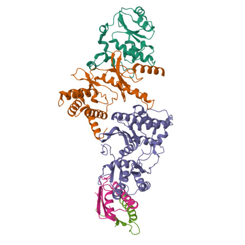 RCSB PDB - 9FL9: Cryo-EM structure of the human KEOPS complex