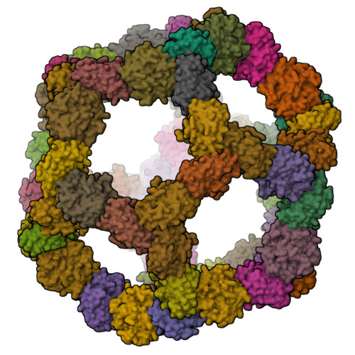 RCSB PDB - 9FO3: Structure of a gp140 SpyTag-SpyCatcher mi3