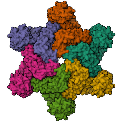 RCSB PDB - 9FP6: Structure of the NbNRC2 hexameric resistosome