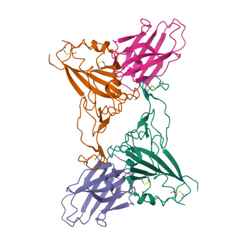 RCSB PDB - 9FR4: Structure of the SARS-CoV-2 spike glycoprotein in ...