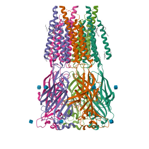 RCSB PDB - 9FRE: CryoEM structure of human rho1 GABAA receptor in ...