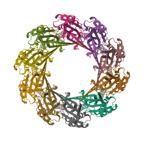 RCSB PDB - 9FS5: Cryo-EM structure of the decameric TraT surface ...