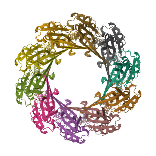 RCSB PDB - 9FSM: Cryo-EM structure of the decameric TraT surface ...