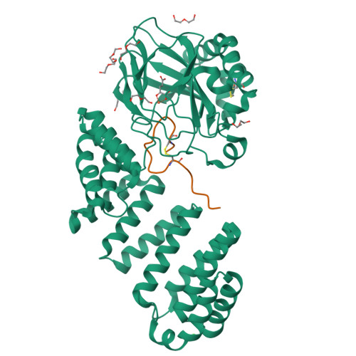 RCSB PDB - 9FVX: Aspartyl/Asparaginyl beta-hydroxylase (AspH) in ...