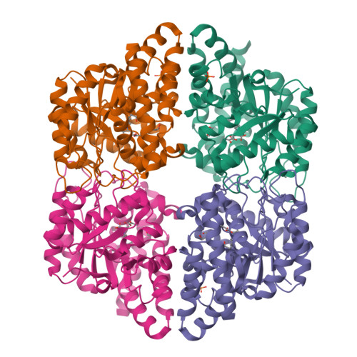 RCSB PDB - 9FXR: Crystal structure of trans-o ...