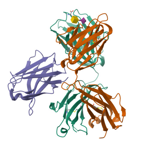 L2a5 RCSB PDB - 9FY8: L2A5 Fab in complex with STn-Thr