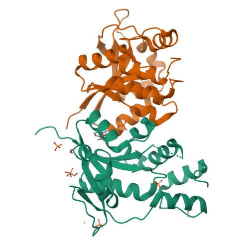 RCSB PDB - 9FYB: Structural Insights into the NMN Complex of Nicotinate ...