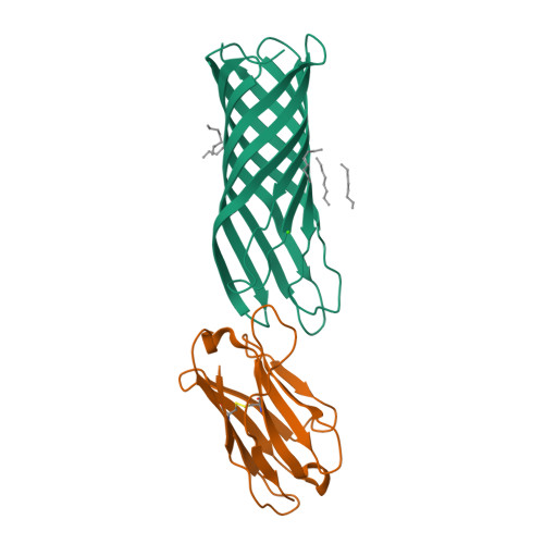 RCSB PDB - 9FZC: Structure of OmpA-short in complex with nanobody Nb01