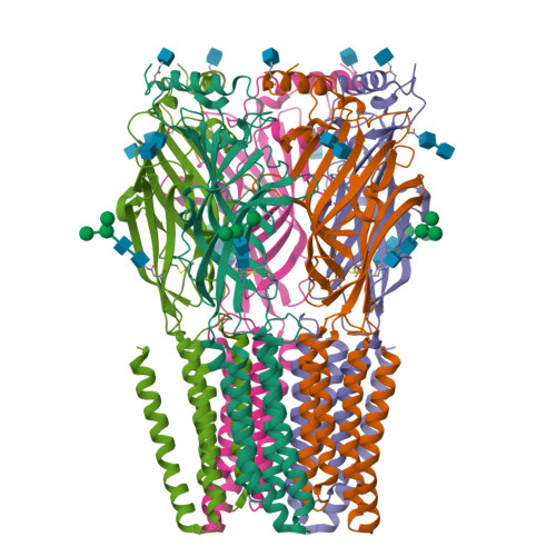 RCSB PDB - 9G2D: Cryo-EM structure of the beta3 homomeric GABA(A ...
