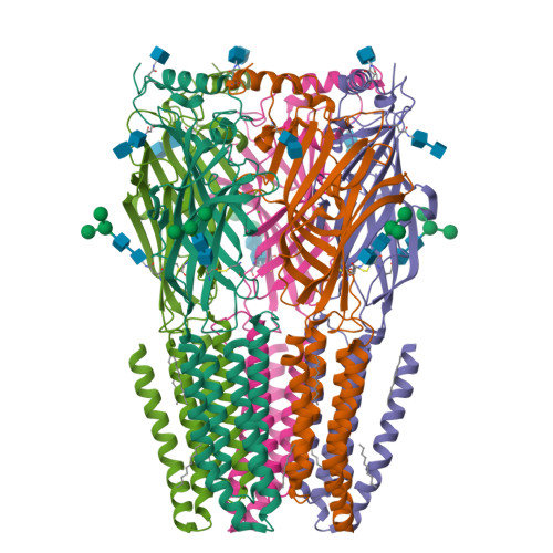 RCSB PDB - 9G2E: Cryo-EM structure of the beta3 homomeric GABA(A ...