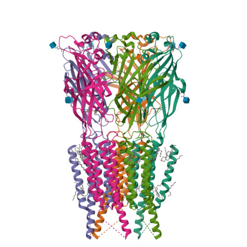RCSB PDB - 9G55: CryoEM structure of human rho1 GABAA receptor in ...