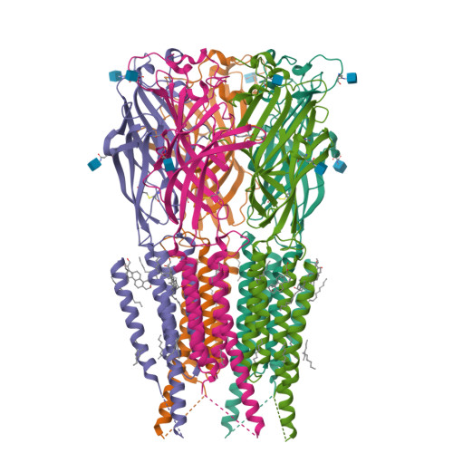 RCSB PDB - 9G57: CryoEM structure of human rho1 GABAA receptor in ...