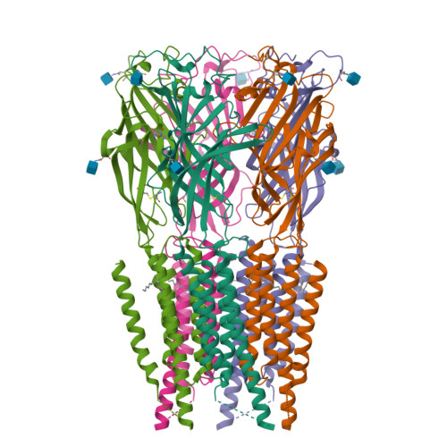 RCSB PDB - 9G5R: CryoEM structure of human rho1 GABAA receptor in ...