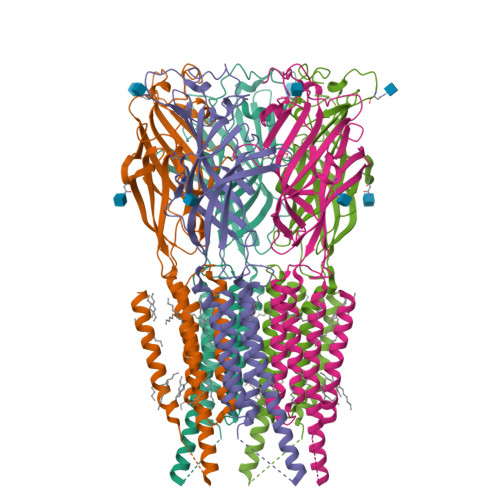 RCSB PDB - 9G60: CryoEM structure of human rho1 GABAA receptor in ...