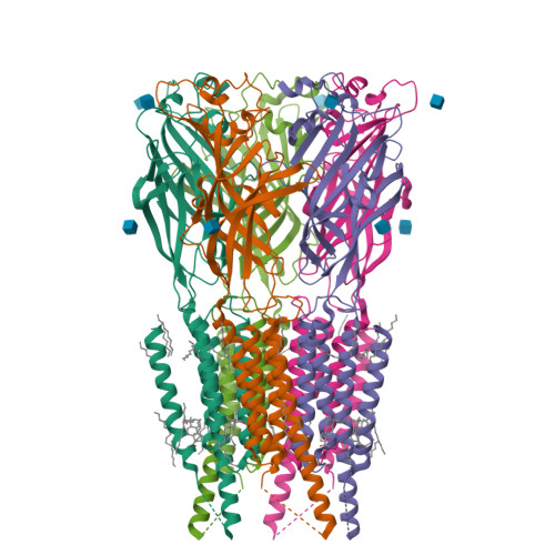 RCSB PDB - 9G78: CryoEM structure of human rho1 GABAA receptor in ...