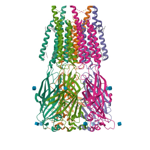 RCSB PDB - 9G7A: CryoEM structure of human rho1 GABAA receptor in ...