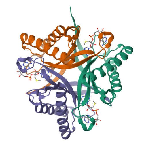 RCSB PDB - 9GAB: Structure and catalytic mechanism of SAM-AMP lyase in ...